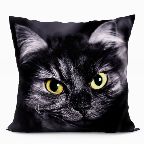 Dwustronna poduszka z mikrofibry z wypełnieniem silikonowym z kotem, rozmiar 40x40cm, 