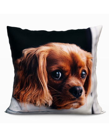 Poduszka z wypełnieniem silikonowym dwustronna z mikrofibry, 40x40cm