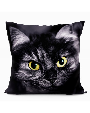 Dwustronna poduszka z mikrofibry z wypełnieniem silikonowym z kotem, rozmiar 40x40cm, 