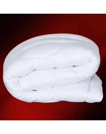 Dwuwarstwowa kołdra z wypełnieniem silikonowym, 2 rozmiary, Dreamy 4 Pory Roku